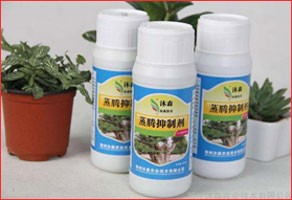 IB(yng)Һ,ˮB(yng)ֲIB(yng)Һ